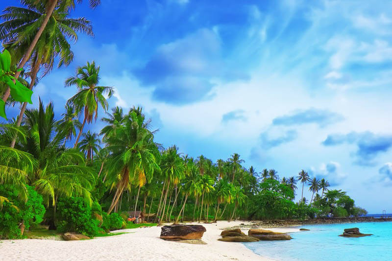 5 bãi biển đẹp nhất đà nẵng